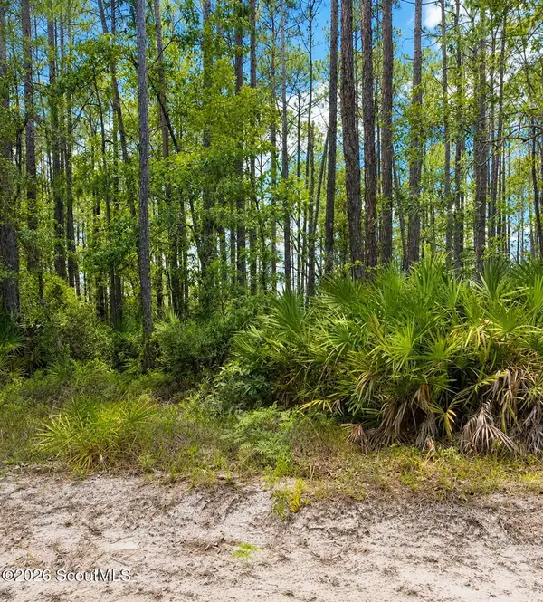 0 Baker Creek Road, Nahunta, GA 31553