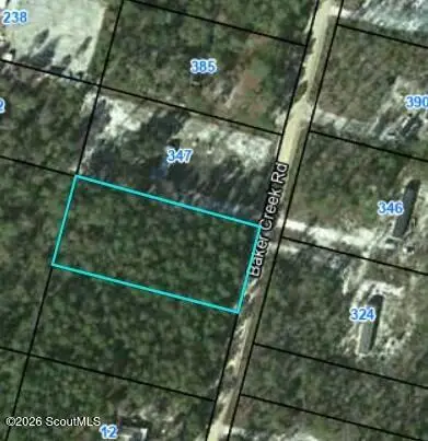 0 Baker Creek Road, Nahunta, GA 31553 - #2