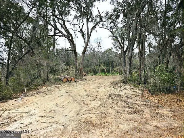 2079 Susie Baker Road Ne #2079, Shellman Bluff, GA 31331 - #3