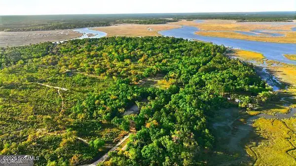 2119 Susie Baker Road Ne, Shellman Bluff, GA 31331