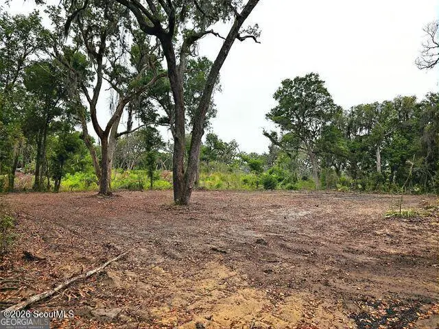 2119 Susie Baker Road Ne, Shellman Bluff, GA 31331 - #3
