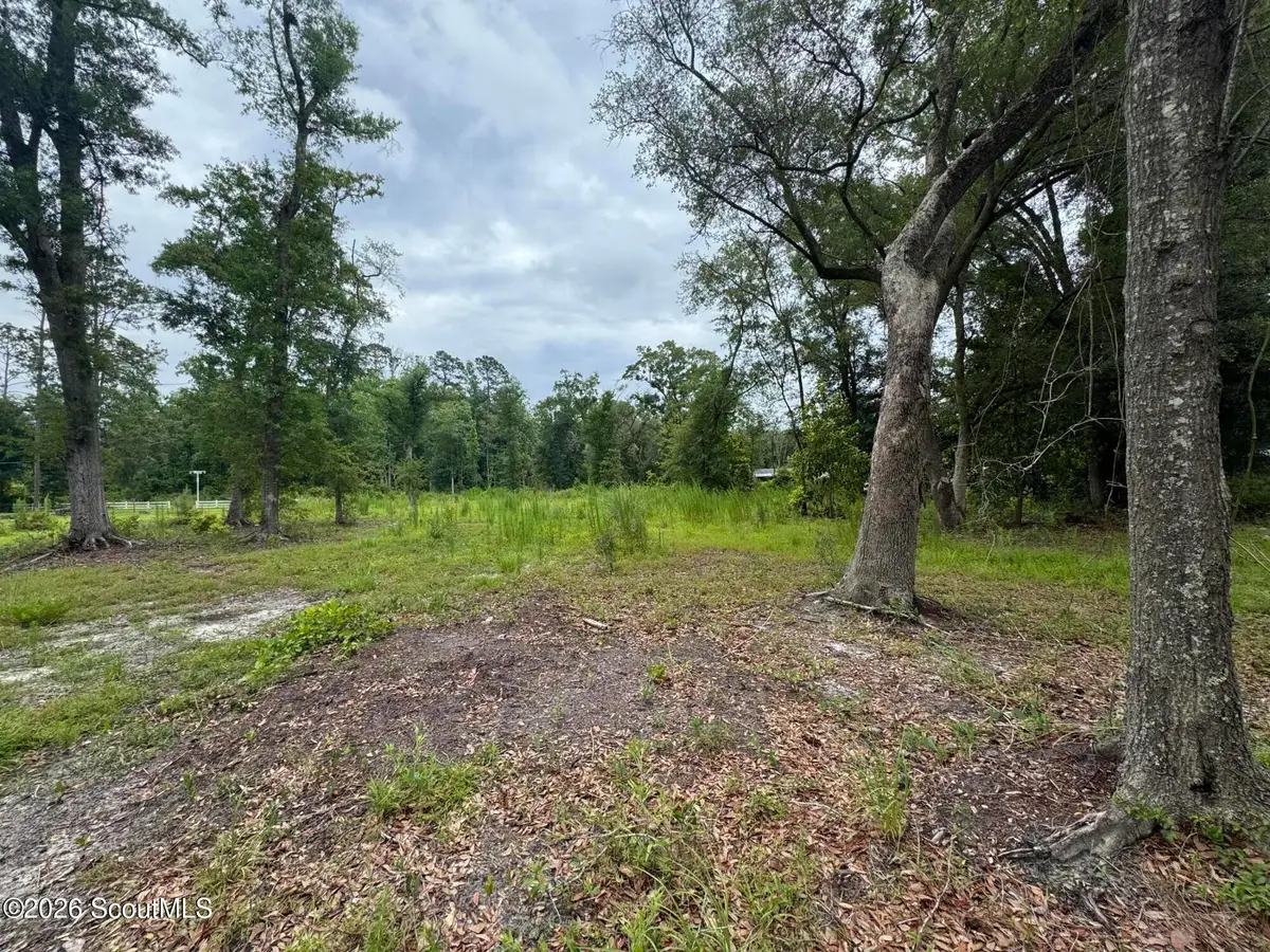 0 Scrabble Road, Blackshear, GA 31516 - #1