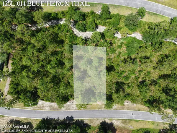 Lot 14 Blue Heron Trail #14, Waverly, GA 31565