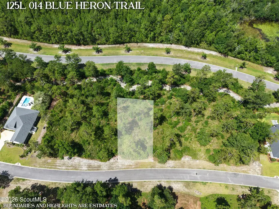 Lot 14 Blue Heron Trail #14, Waverly, GA 31565 - #2