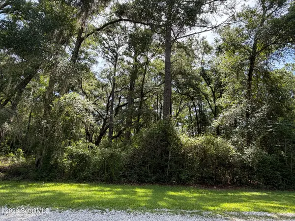 3 Carnochan Lane #73, Darien, GA 31305