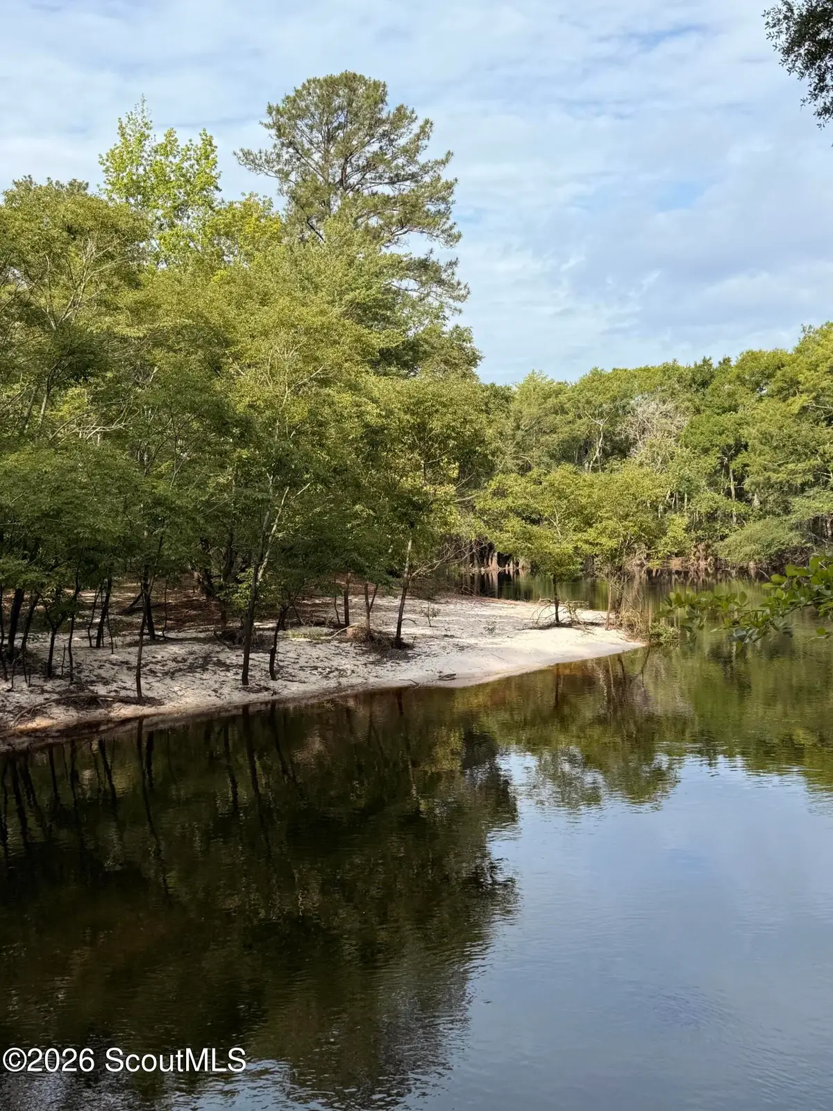 10 Acres Wildcat - Satilla River Lane, Waycross, GA 31503 - #1