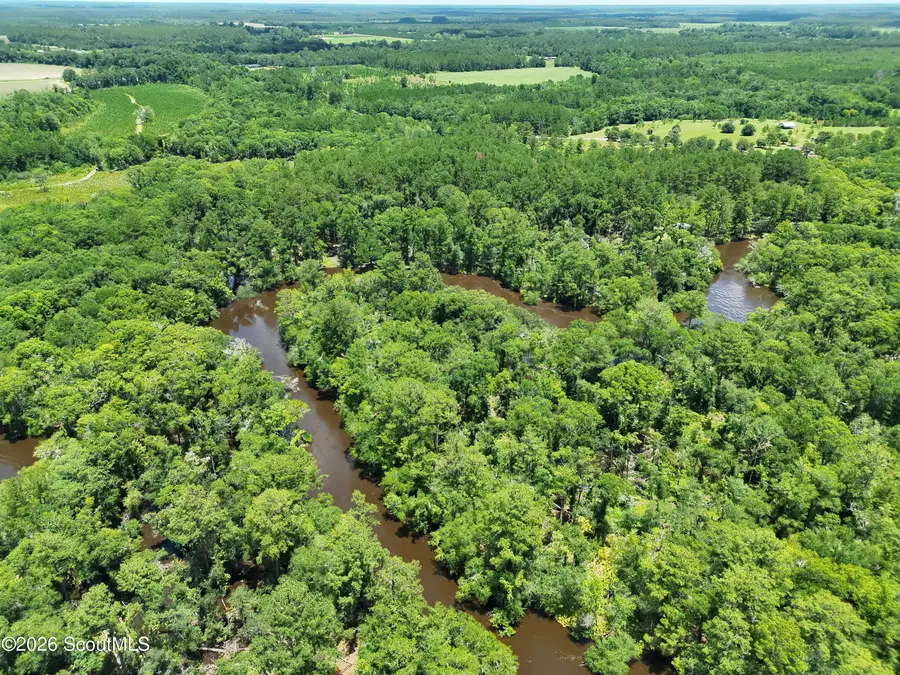 10 Acres Wildcat - Satilla River Lane, Waycross, GA 31503 - #3