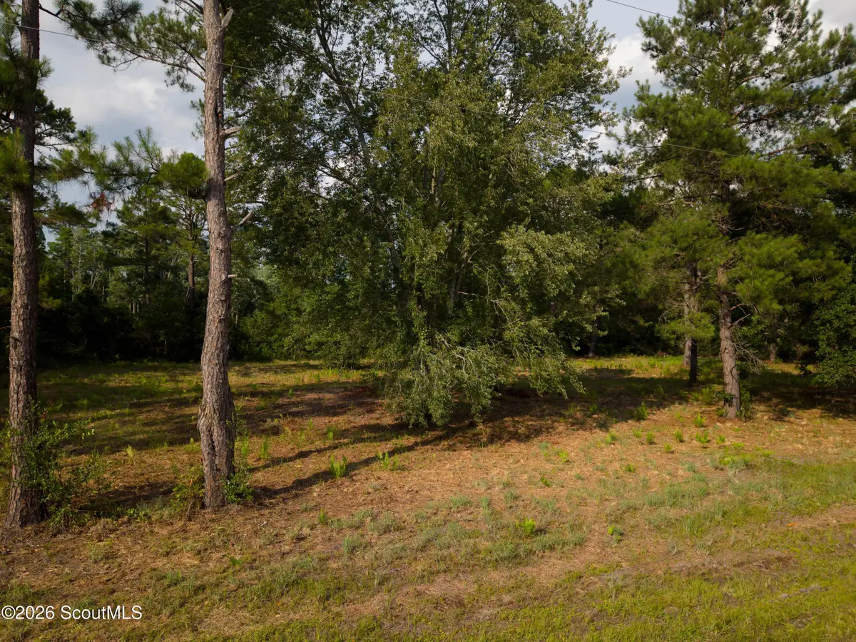 0 Carter Community Road, Folkston, GA 31537 - #1
