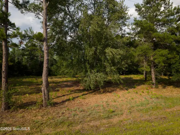 0 Carter Community Road, Folkston, GA 31537