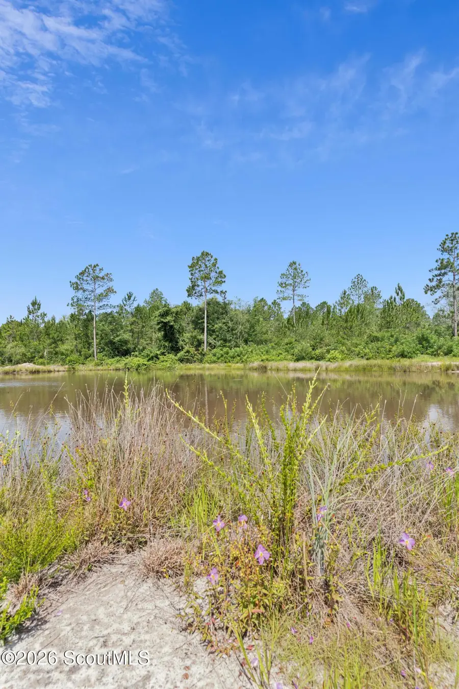 6064 U.s. 301, Jesup, GA 31546 - #2