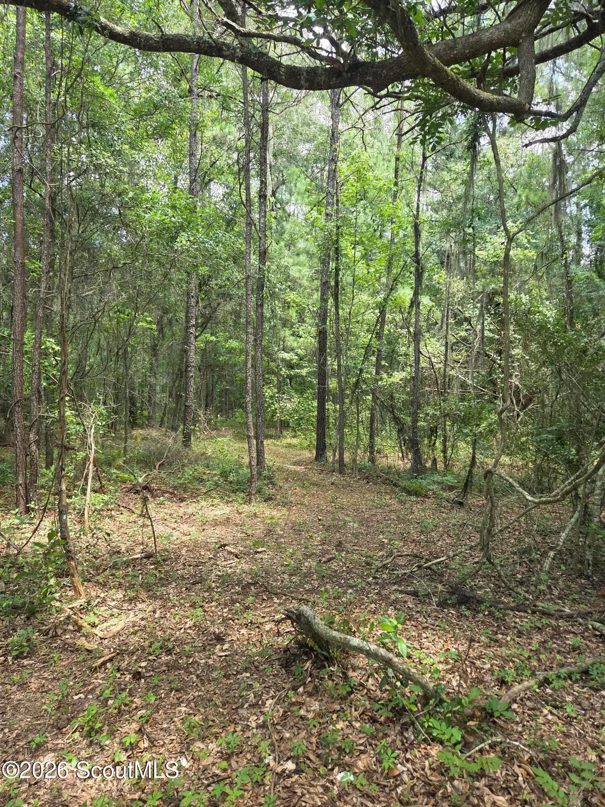 2.83 Ac Young Man Road Ne, Townsend, GA 31331 - #1