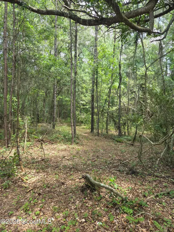00 Young Man Road Ne, Townsend, GA 31331
