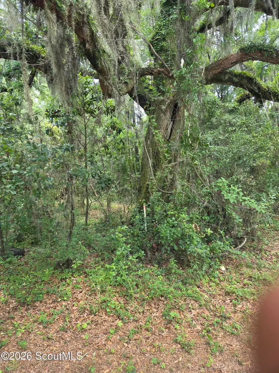 2.83 Ac Young Man Road Ne, Townsend, GA 31331 - #2