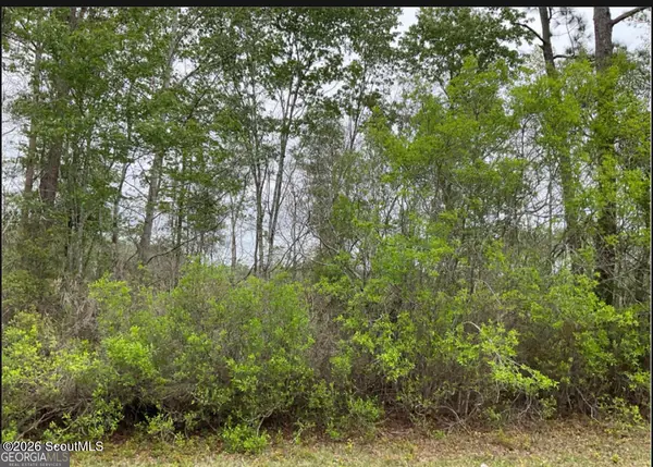 0 16.01ac Tract 4 Highway, Townsend, GA 31331