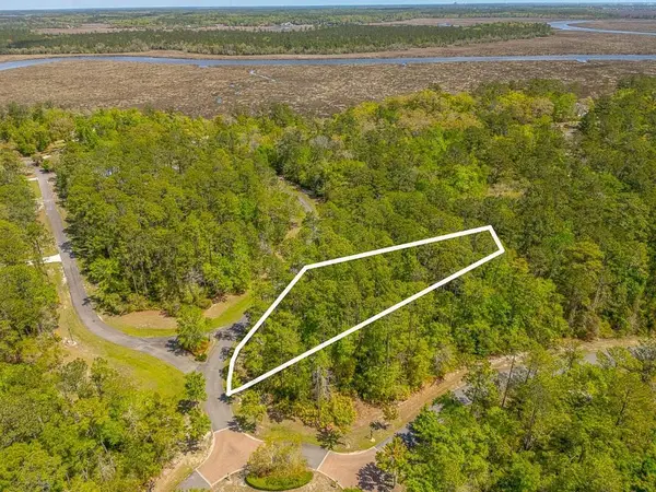 Lot 2 C River Place Drive, Waverly, GA 31565