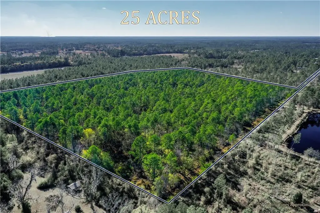 00 Smith Road, Waycross, GA 31503 - #1