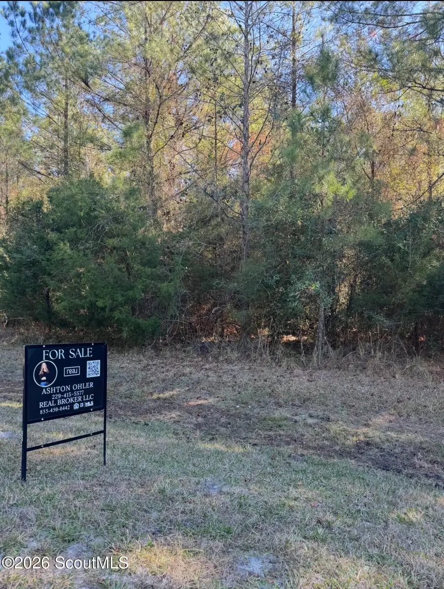 Lot 88 La Sole Lane, Waverly, GA 31565 - #3