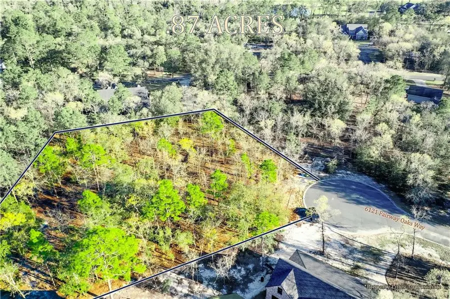 6121 Fairway Oaks Way, Blackshear, GA 31516 - #2