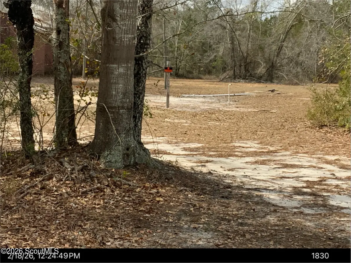 4035 School Street, Millwood, GA 31552 - #1