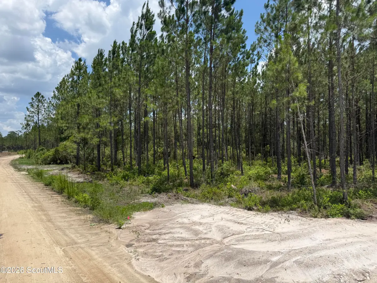 Lot 5 Corbitt Road #Lot 5, Manor, GA 31550 - #1