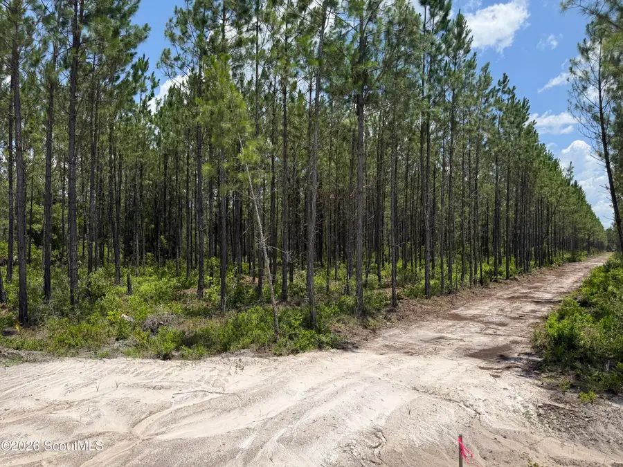 Lot 5 Corbitt Road #Lot 5, Manor, GA 31550 - #2