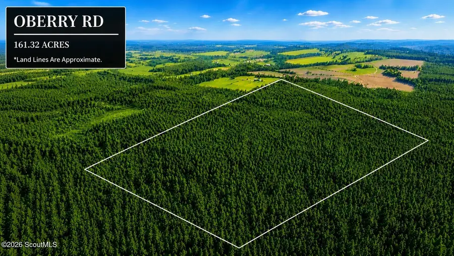 0 Oberry Road, Millwood, GA 31552 - #2