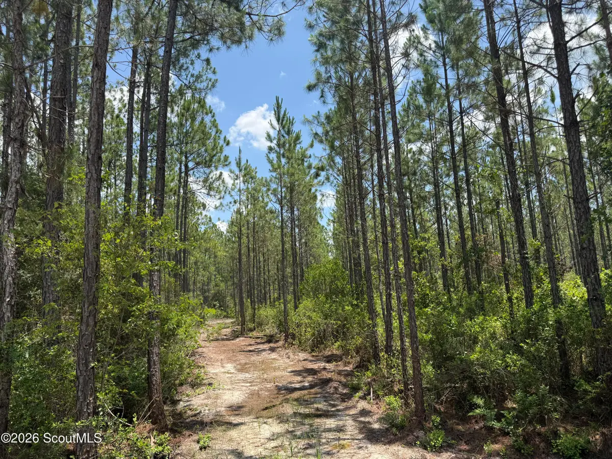 Lot 6 Corbitt Road #Lot 6, Manor, GA 31550 - #1