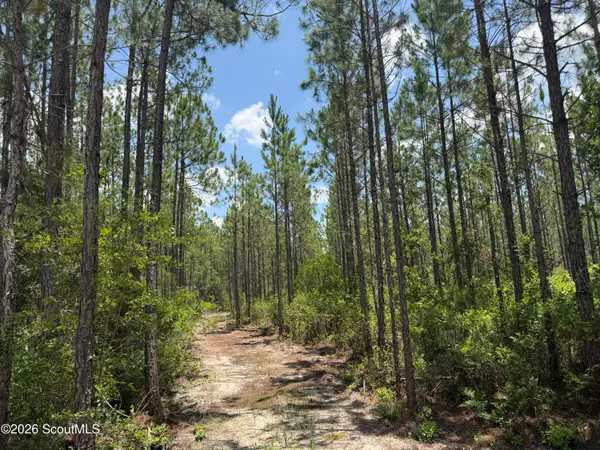 Lot 6 Corbitt Road #Lot 6, Manor, GA 31550