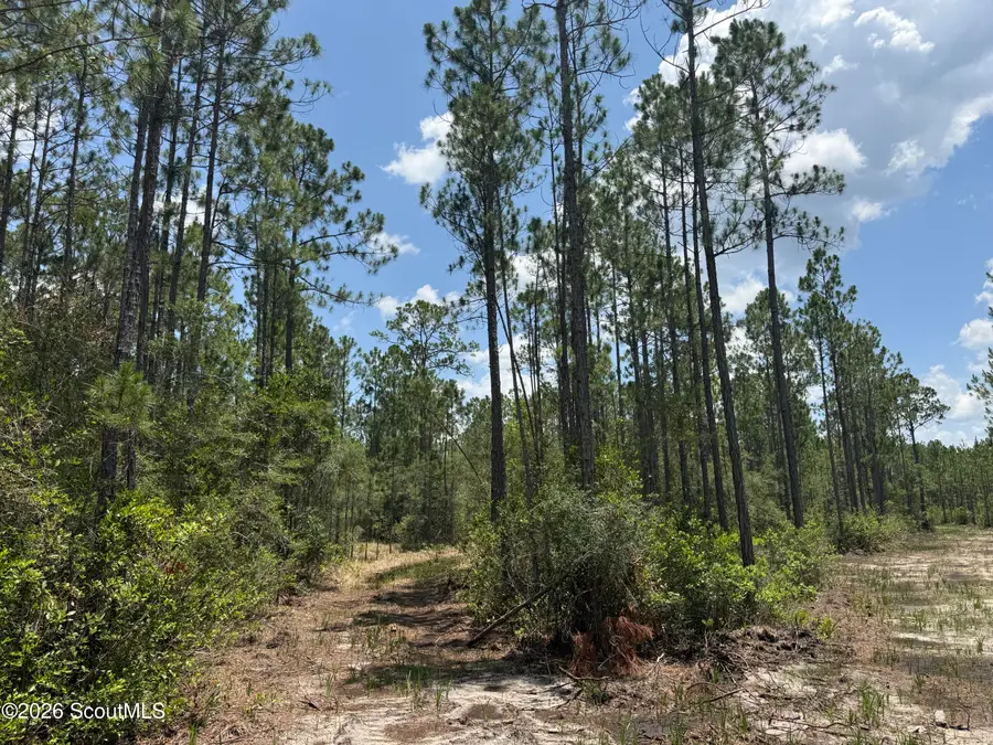 Lot 6 Corbitt Road #Lot 6, Manor, GA 31550 - #2