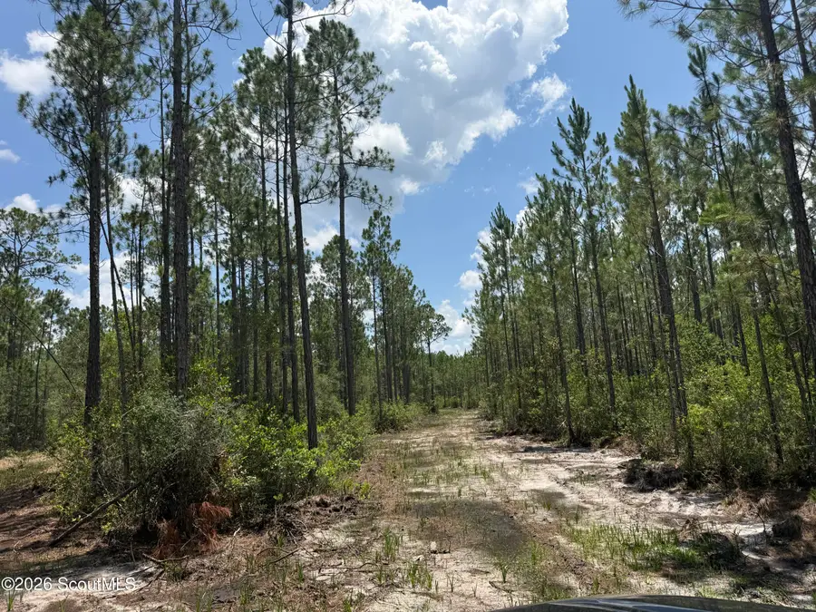 Lot 6 Corbitt Road #Lot 6, Manor, GA 31550 - #3