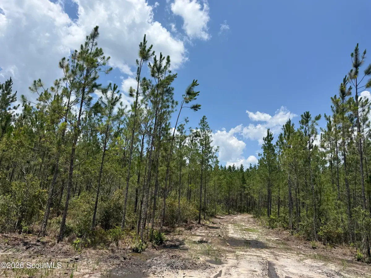 Lot 7 Corbitt Road #Lot 7, Manor, GA 31550 - #1