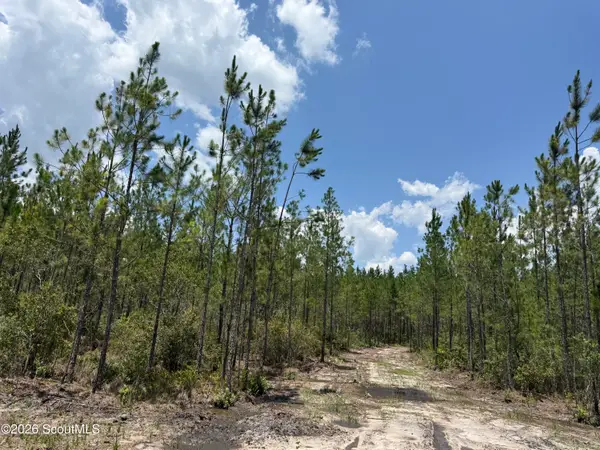 Lot 7 Corbitt Road #Lot 7, Manor, GA 31550