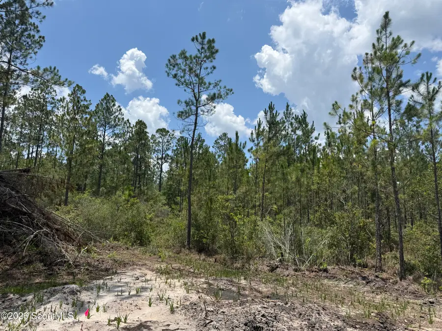 Lot 7 Corbitt Road #Lot 7, Manor, GA 31550 - #2