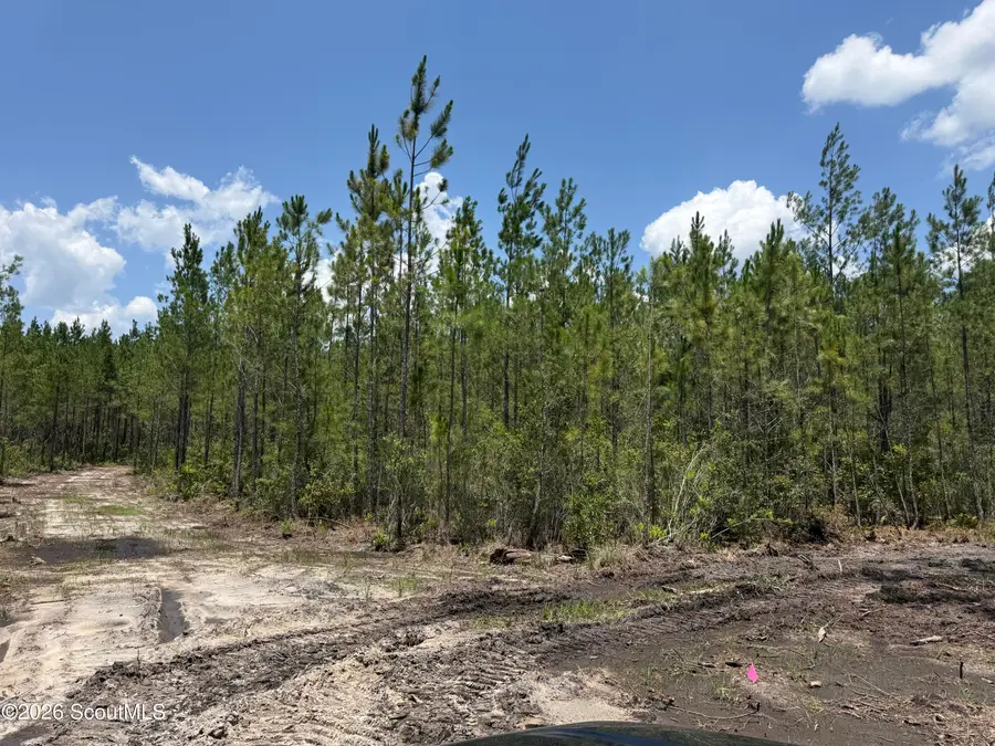 Lot 7 Corbitt Road #Lot 7, Manor, GA 31550 - #3