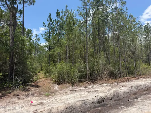Lot 8 Corbitt Road #Lot 8, Manor, GA 31550