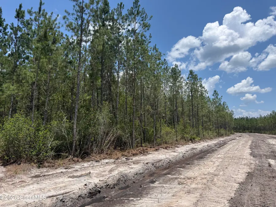 Lot 8 Corbitt Road #Lot 8, Manor, GA 31550 - #2