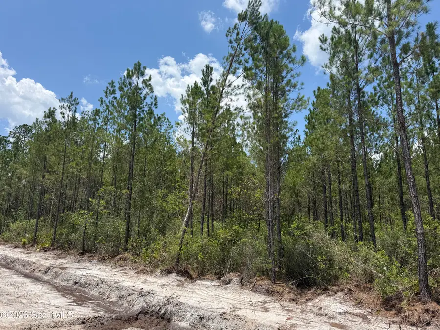 Lot 8 Corbitt Road #Lot 8, Manor, GA 31550 - #3