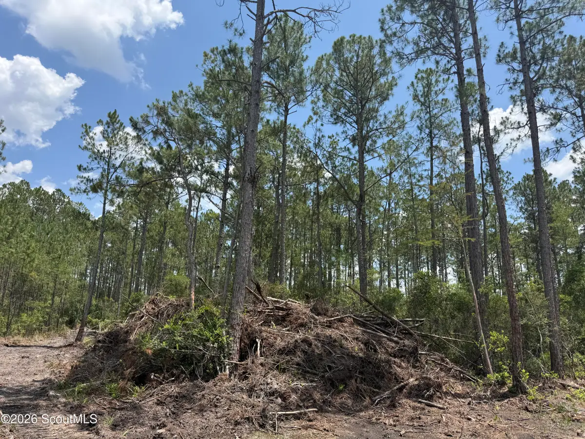 Lot 9 Corbitt Road #Lot 9, Manor, GA 31550 - #1