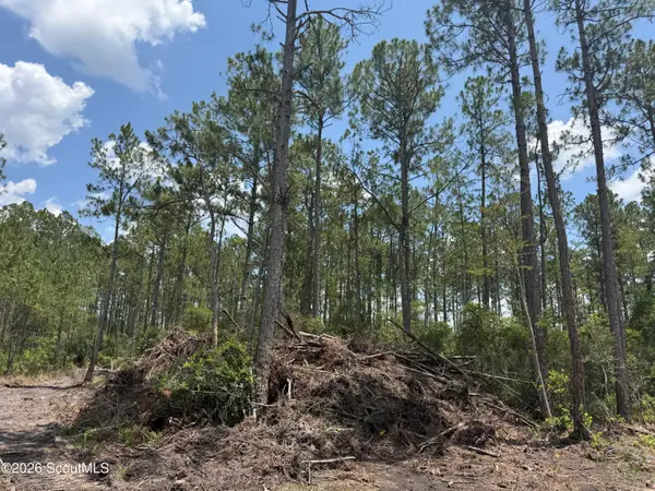 Lot 9 Corbitt Road #Lot 9, Manor, GA 31550