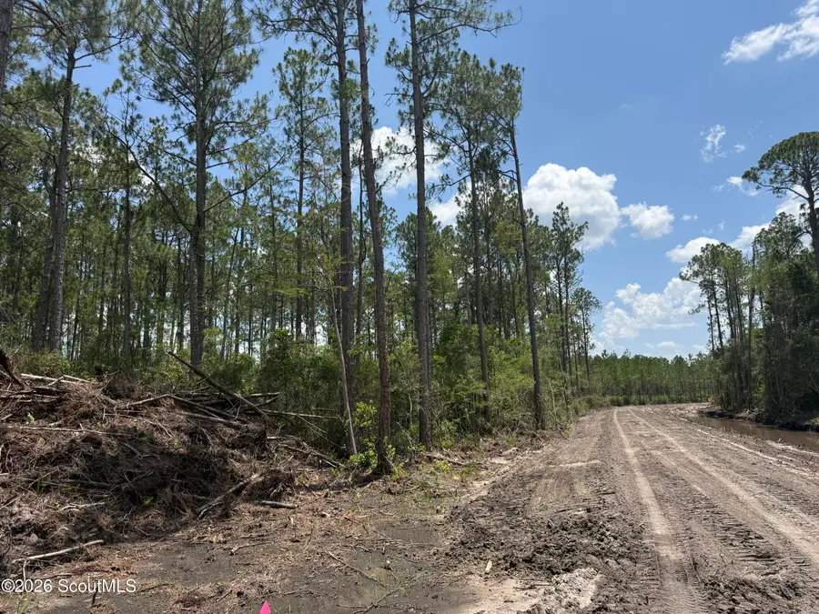 Lot 9 Corbitt Road #Lot 9, Manor, GA 31550 - #2
