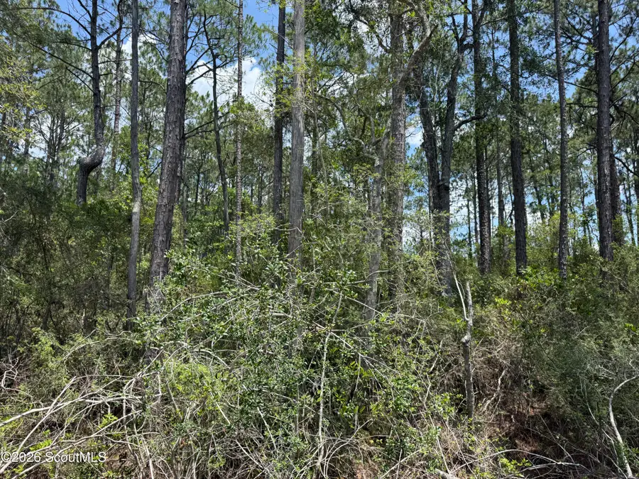 Lot 9 Corbitt Road #Lot 9, Manor, GA 31550 - #3