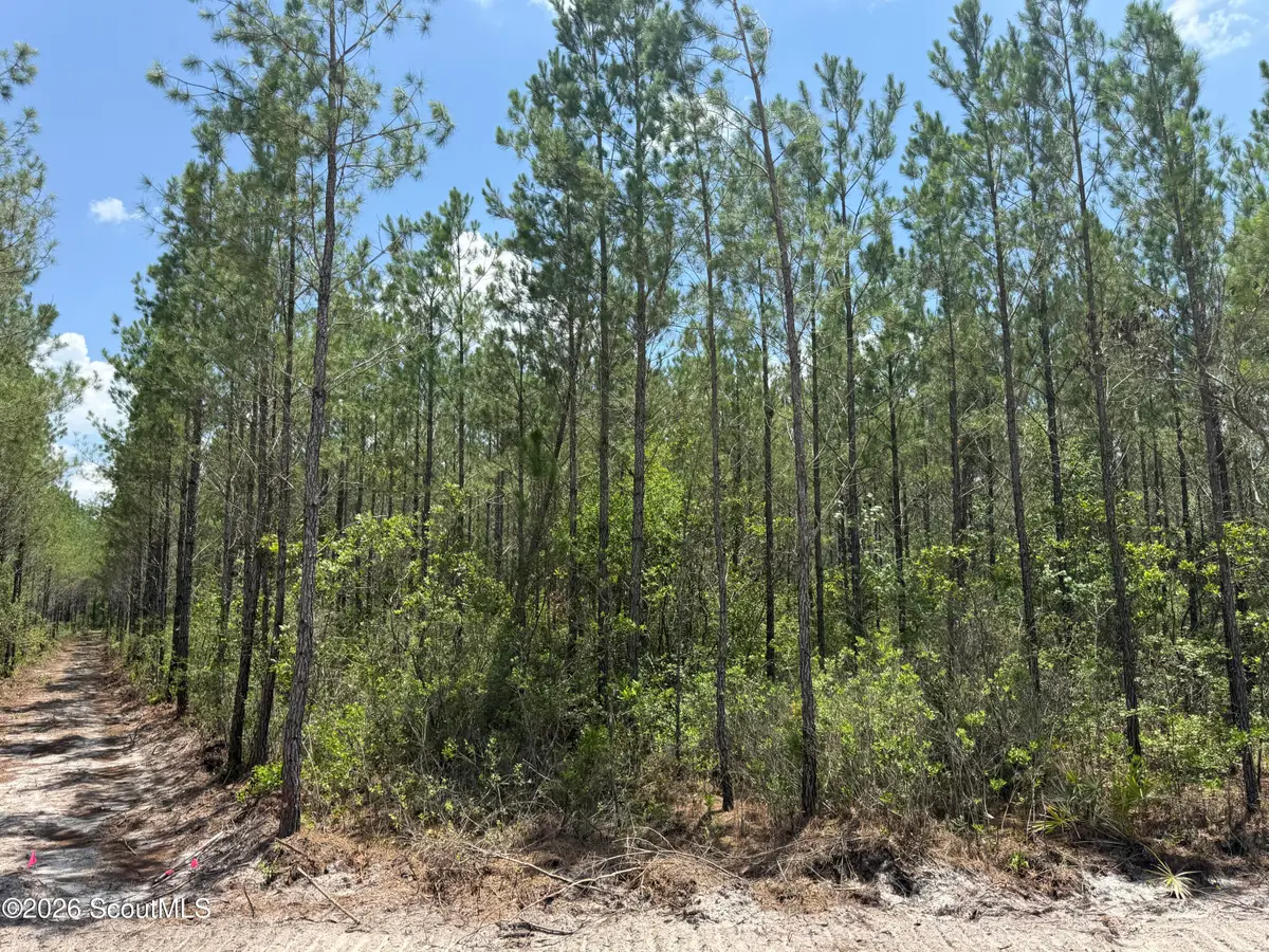 Lot 10 Corbitt Road #Lot 10, Manor, GA 31550 - #1