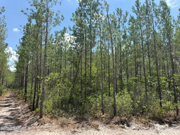 Lot 10 Corbitt Road #Lot 10, Manor, GA 31550