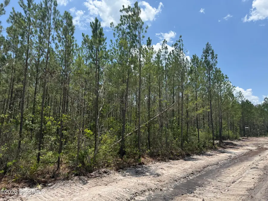 Lot 10 Corbitt Road #Lot 10, Manor, GA 31550 - #2