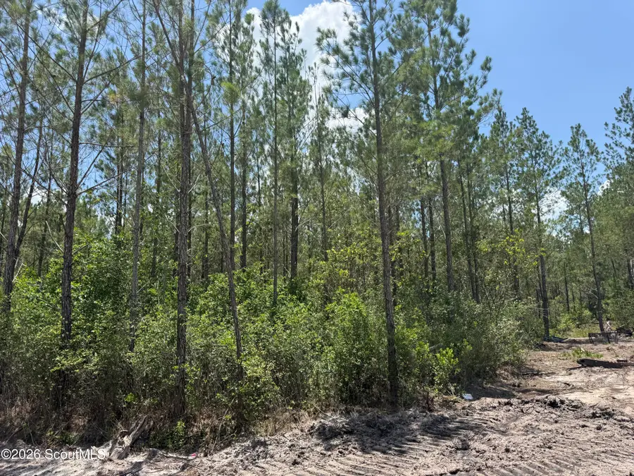 Lot 10 Corbitt Road #Lot 10, Manor, GA 31550 - #3