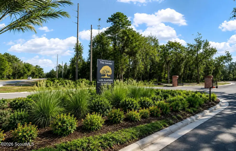 138 Canopy Lane, Saint Simons Island, GA 31522 - #3