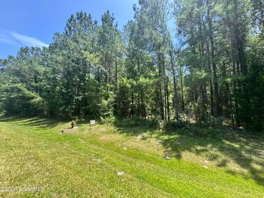 Lot 88 La Sole Lane, Waverly, GA 31565 - #2