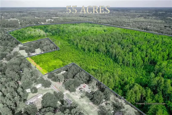 00 Tot Drive, Blackshear, GA 31516