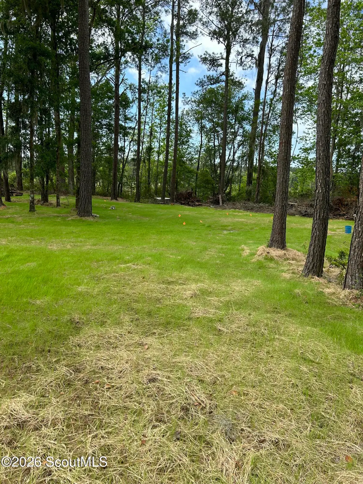 9771 Cox Road Sw, Townsend, GA 31331 - #1