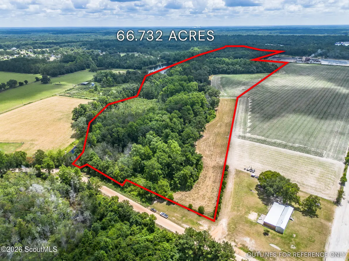 0 Nesbitt Road, Odum, GA 31555 - #1